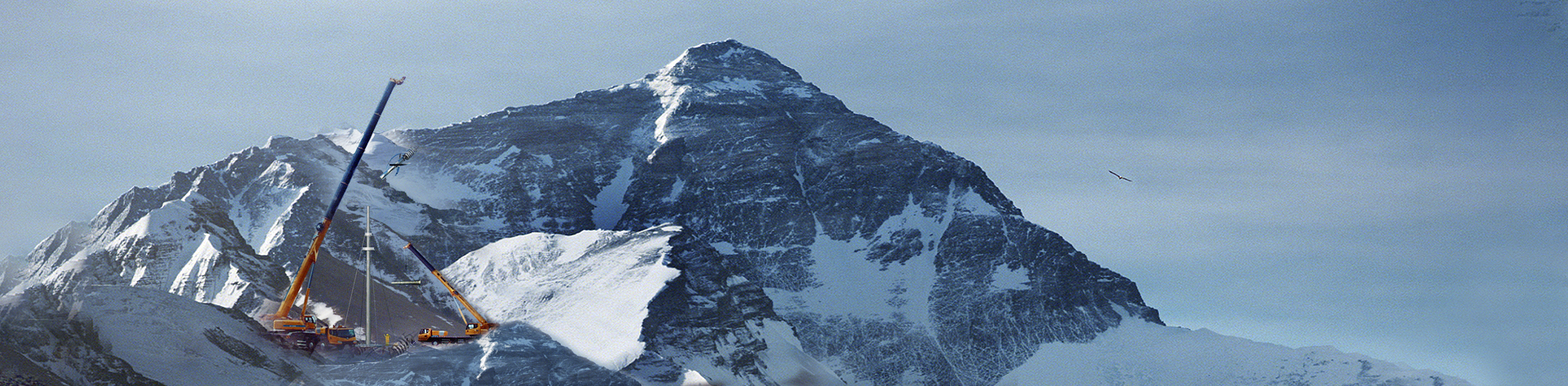 �ڰ�����