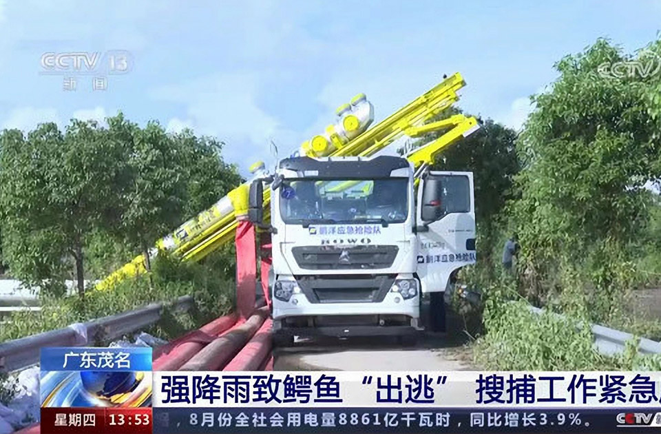 ������ֳ��Ӧ����Ԯ