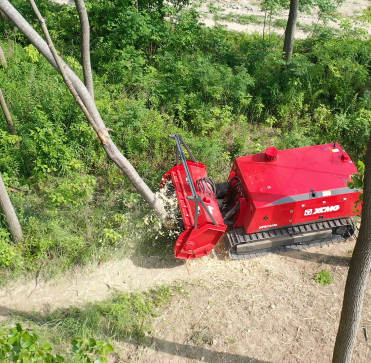 ɭ��������Ԯ