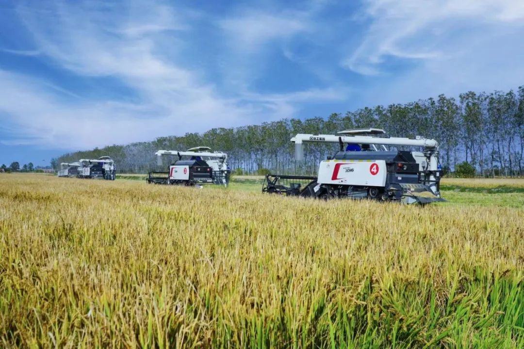 ʢ������(�й���)���ٷ���վ